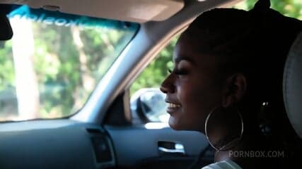 Dark-skinned Beauty With Perfect Breasts Pays For A Trip With Rough Anal Sex